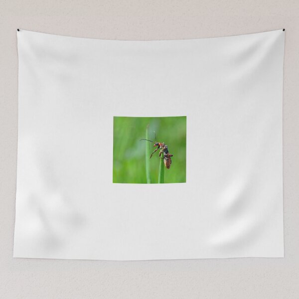 Item preview, Soldier Beetle designed and sold by Holmewood.