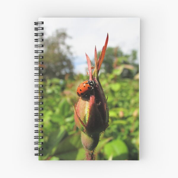 Item preview, Aphid Cafe designed and sold by Lonnie Massotty.