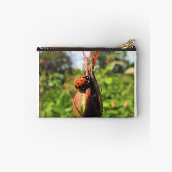Item preview, Aphid Cafe designed and sold by Lonnie Massotty.
