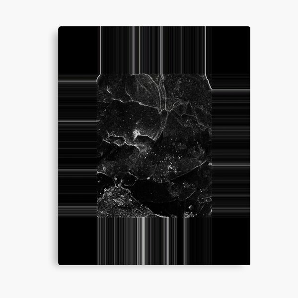 Lunar Canvas Print