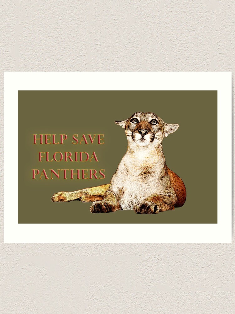 Help Save the Florida Panther