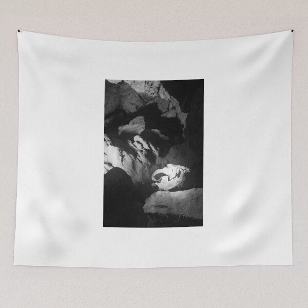 Item preview, Bear Skull in the Caves of Vallorbe, Switzerland designed and sold by Igor Pozdnyakov.