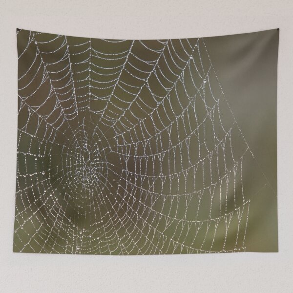 Item preview, Dewy spider web designed and sold by Göran Andersson.