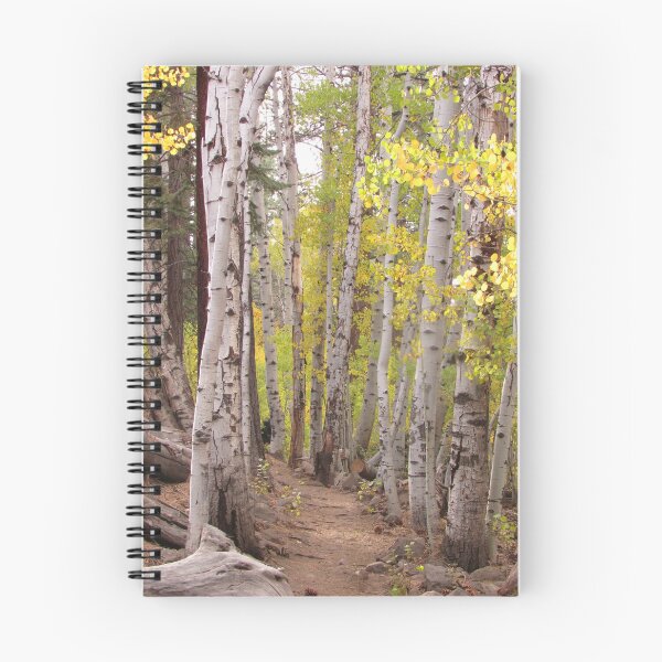 Item preview, Autumn Path designed and sold by Lonnie Massotty.