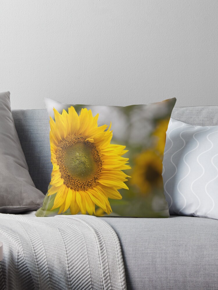 Thumbnail 1 of 4, Pillow, Sunflower designed and sold by guffa-com.