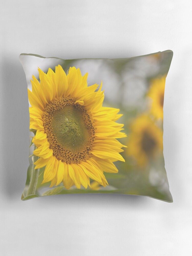 Thumbnail 3 of 4, Pillow, Sunflower designed and sold by guffa-com.