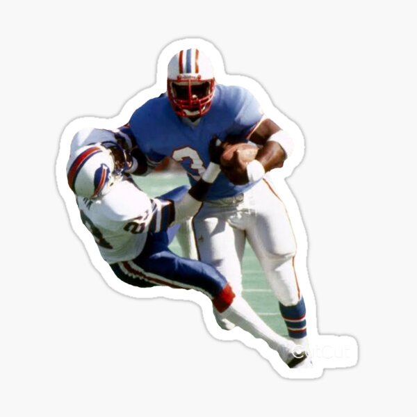 Buffalo Bills Football Helmet Precision Cut Decal / Sticker