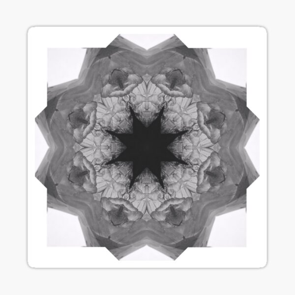 Kaleidoscope star 2 Sticker