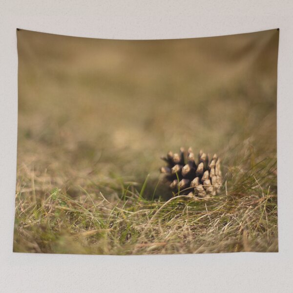 Item preview, Pine cone designed and sold by Göran Andersson.