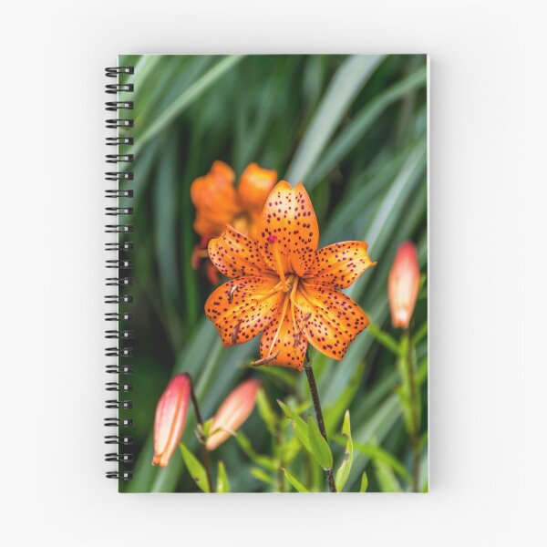 Item preview, Orange Blossomed Plant designed and sold by Radibor78.