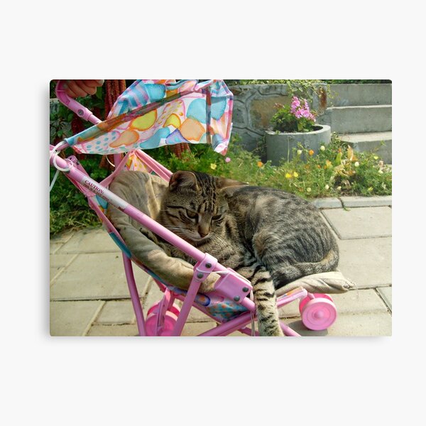 Day to enjoy Metal Print