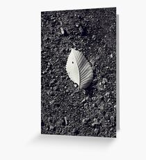 Fallen Greeting Card