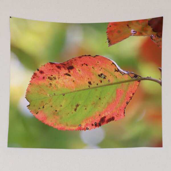 Item preview, Autumn Palette designed and sold by cuprum.