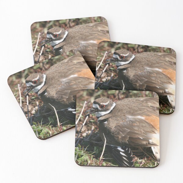 Item preview, A Killdeer Mother's Instinct... designed and sold by RichImage.