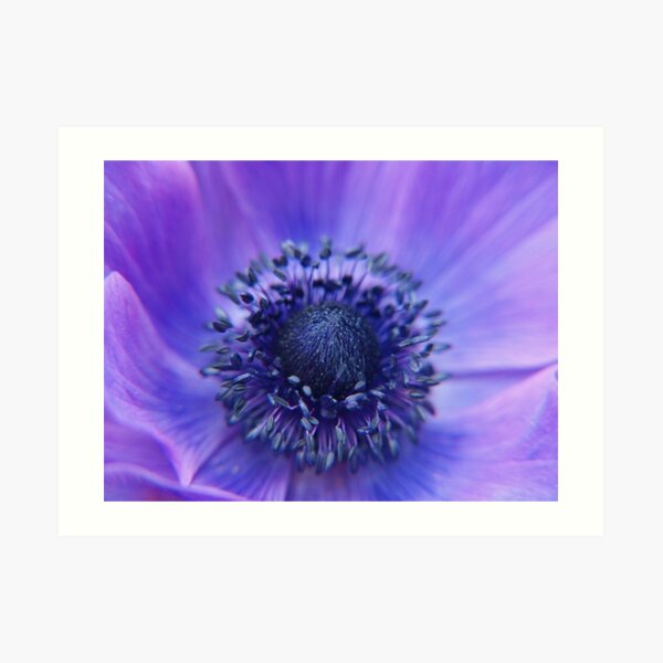 Purple Galaxy Art Print