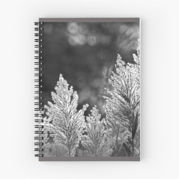 Item preview, Backlit designed and sold by Eileen McVey.