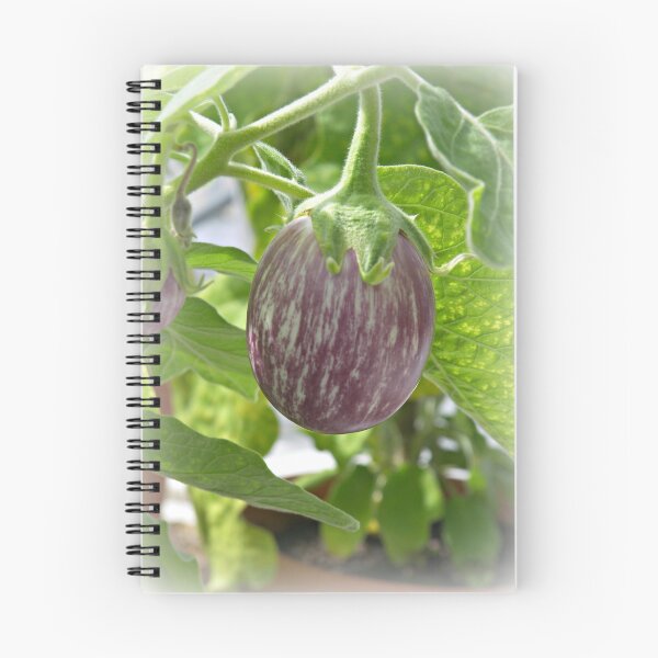 Item preview, Aubergine designed and sold by ColinBoylett.