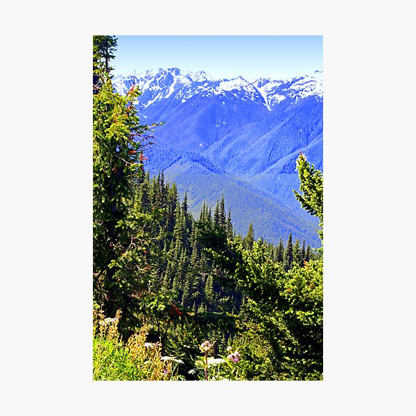 Item preview, "Spring In The North Cascades" designed and sold by Lynn Bawden.