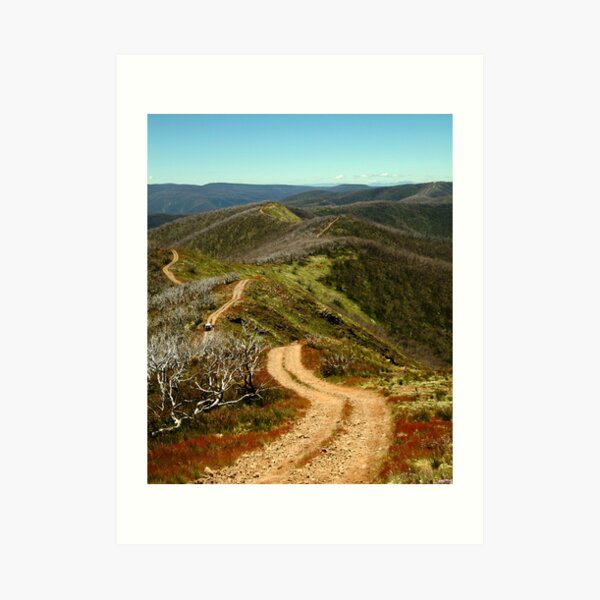 Razor Back Drive,Mt Blue Rag Art Print