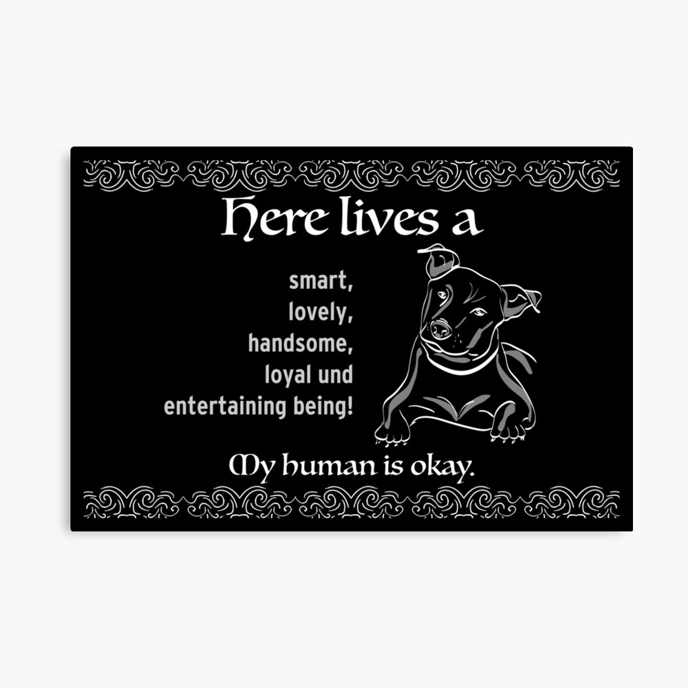 housewarming gifts for dog owners