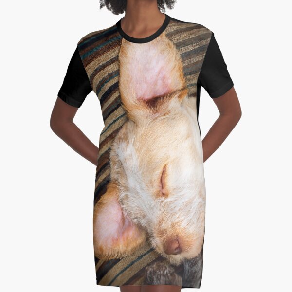 Sleeping Spinone Graphic T-Shirt Dress