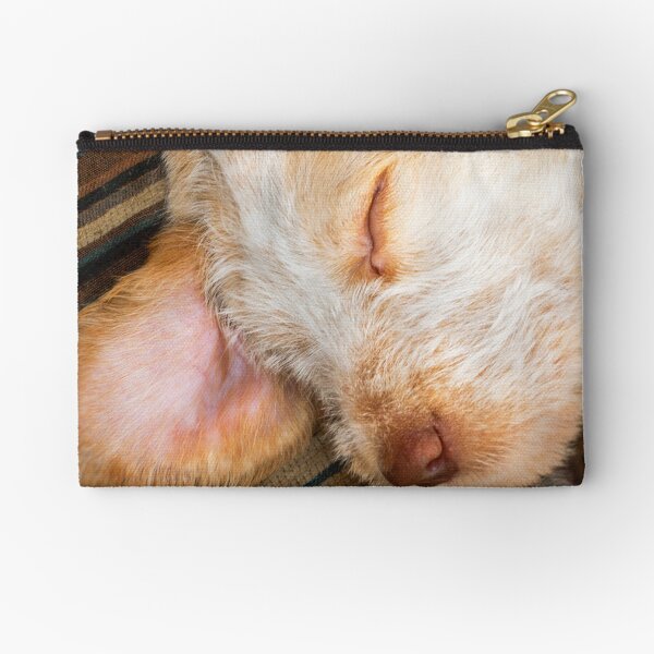 Sleeping Spinone Zipper Pouch