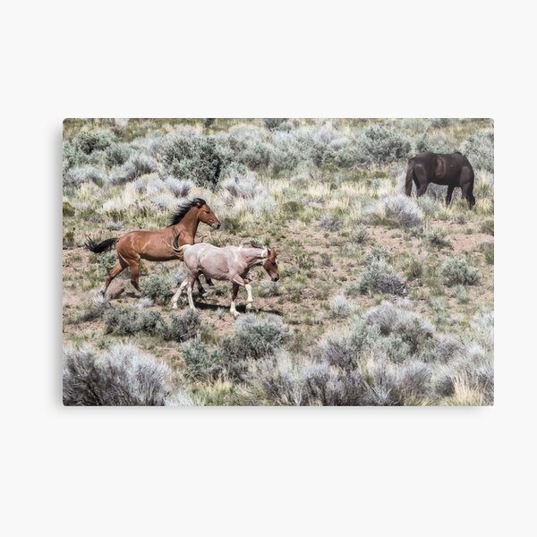Aperçu de l'œuvre S'ébattre à deux, n° 7 créée et vendue par Belinda Greb Photography.