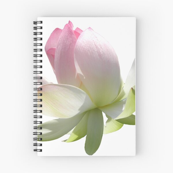 Item preview, Pink Lotus designed and sold by VanyGo.