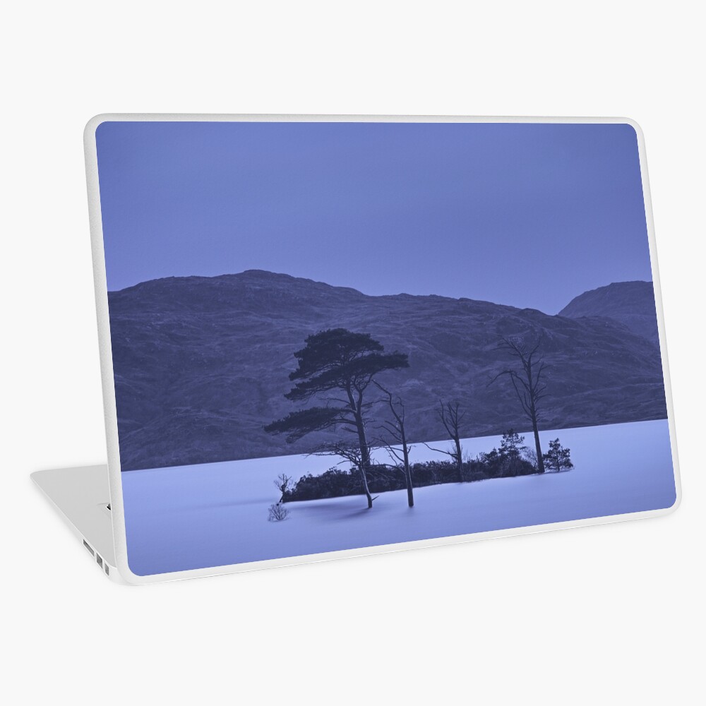 Item preview, Laptop Skin designed and sold by ShinyPhoto.