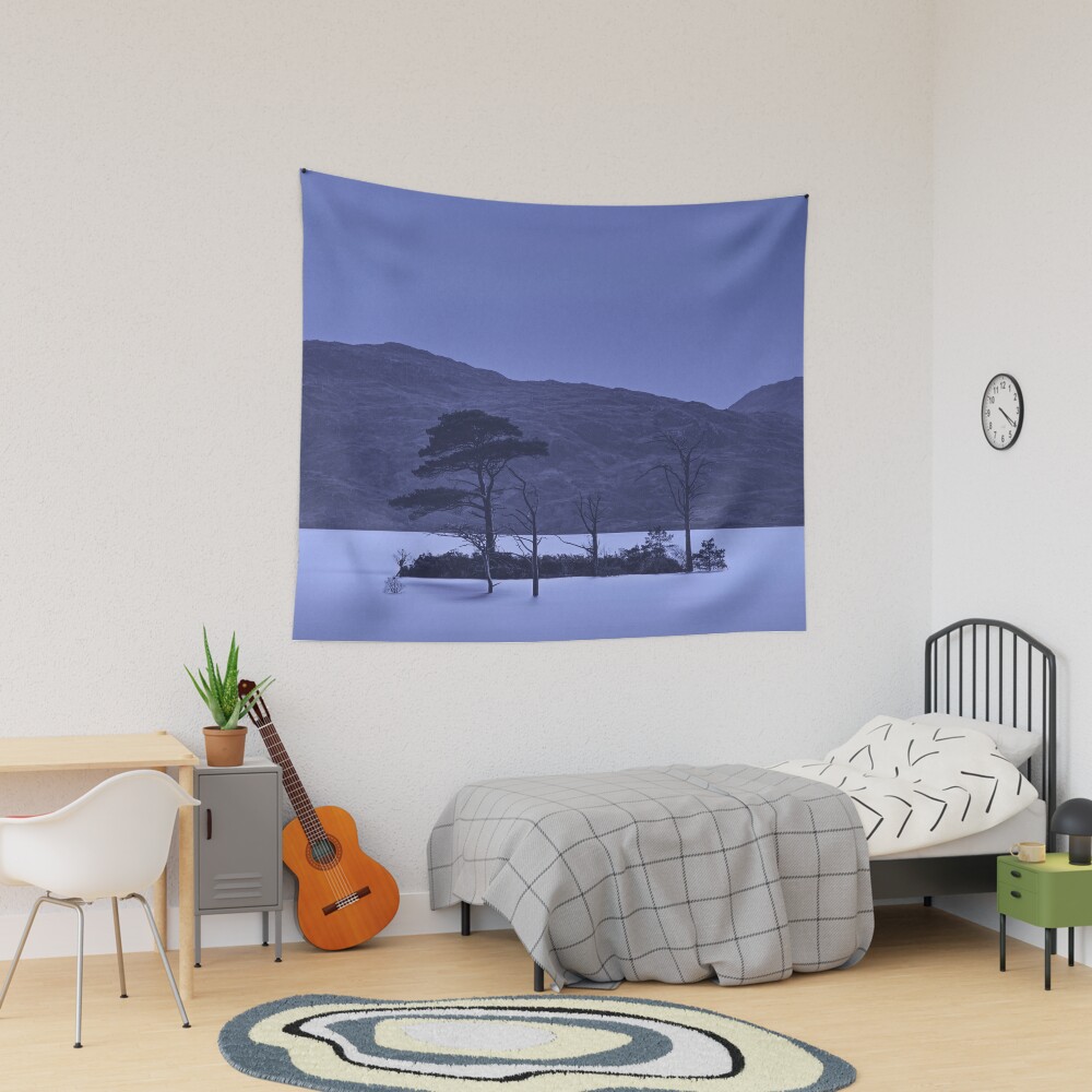 Item preview, Tapestry designed and sold by ShinyPhoto.