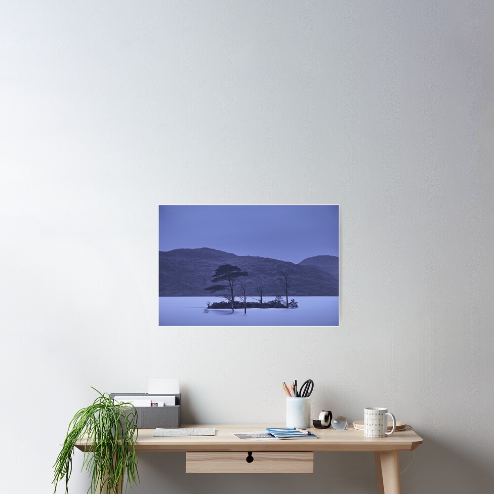 Item preview, Poster designed and sold by ShinyPhoto.