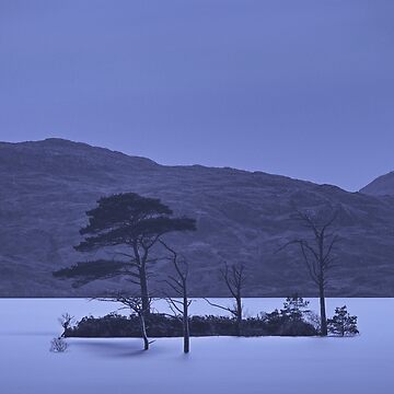 Artwork thumbnail, Loch Assynt, Night by ShinyPhoto