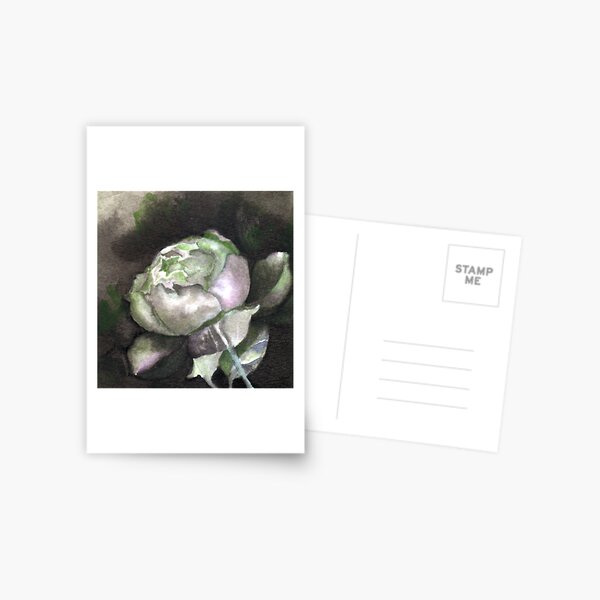 Rose bud in green Postcard