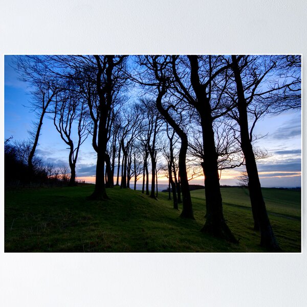 Item preview, Sunrise at Chanctonbury Rings, an Iron Age hillfort designed and sold by postmansmith.