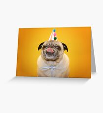 Alles gute zum Geburtstag Liebling Grußkarte