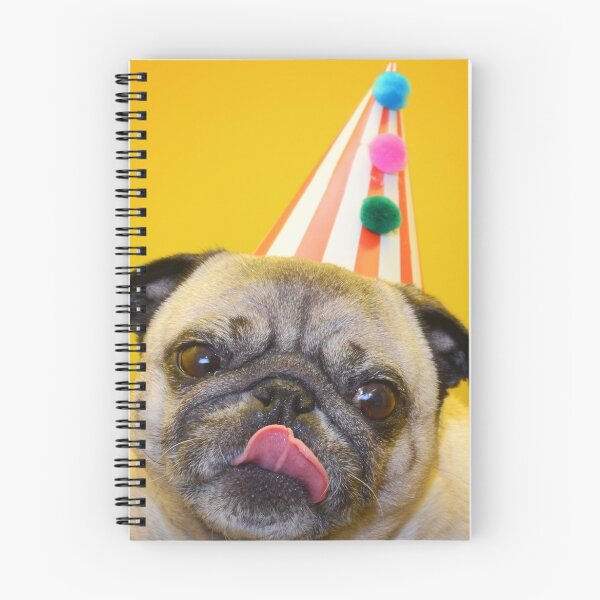 Item preview, Birthday Kisses designed and sold by NJMphotography.