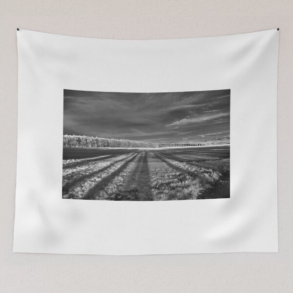 Item preview, Fields SW designed and sold by Mark Bangert.
