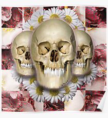 DETERIORATION Poster