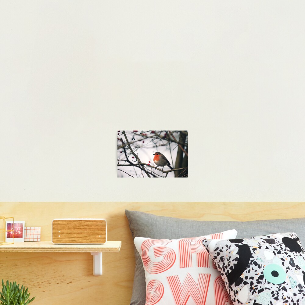 Item preview, Photographic Print designed and sold by Prometheus2000.
