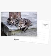 If I had a hammer Postcards