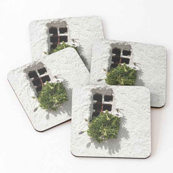 Item preview, Special Gardening Creativity - Instantly Adorable African Daisies on a Rough Stuccoed Wall designed and sold by Georgia Mizuleva.