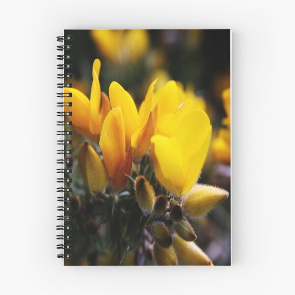 Item preview, "Spring Gorse" (ii) designed and sold by Merice  Ewart Marshall.