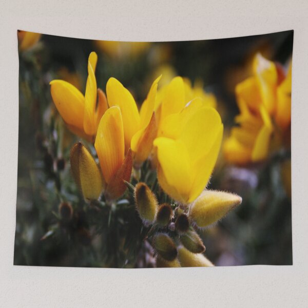 Item preview, "Spring Gorse" (ii) designed and sold by Merice  Ewart Marshall.