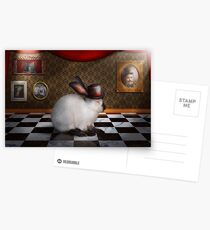 Animal - The Rabbit Postcards