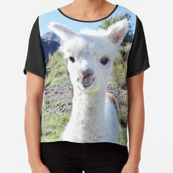 Young Llama Chiffon Top