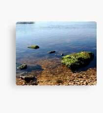 Secluded Canvas Print