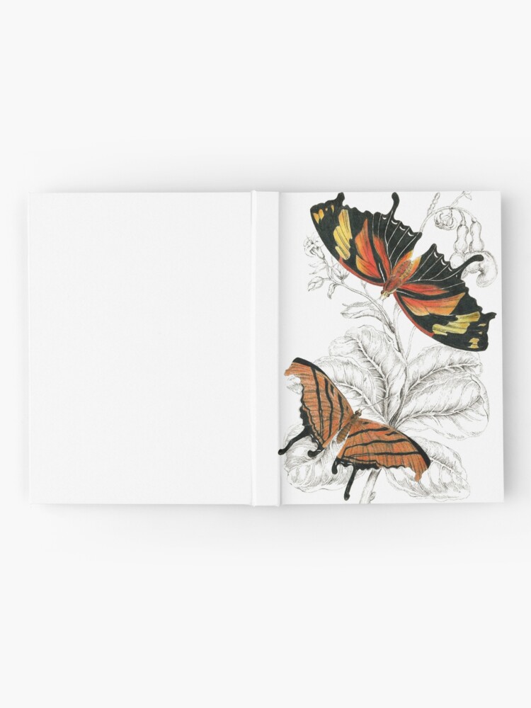 Monarch Butterfly Life Cycle Stages Art, Cottagecore Decor