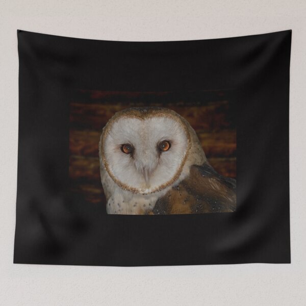 Item preview, Beautiful Barn Owl designed and sold by lizwaitinas.