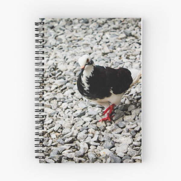 Item preview, Pigeon designed and sold by applezsam90.