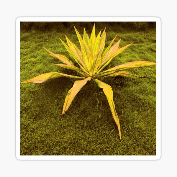 Aperçu de l'œuvre Plante de base de la terre créée et vendue par hutofdesigns.